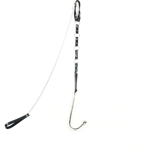 Anal Hooks Collar Kinky EverydayUse Anal Hook 5853 Leash with and 0116